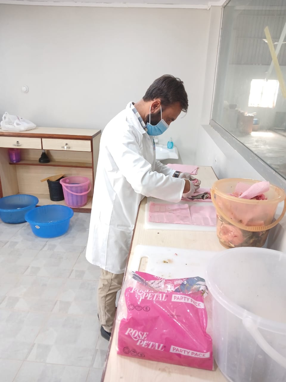 Staff member processing fish at the hatchery lab bench