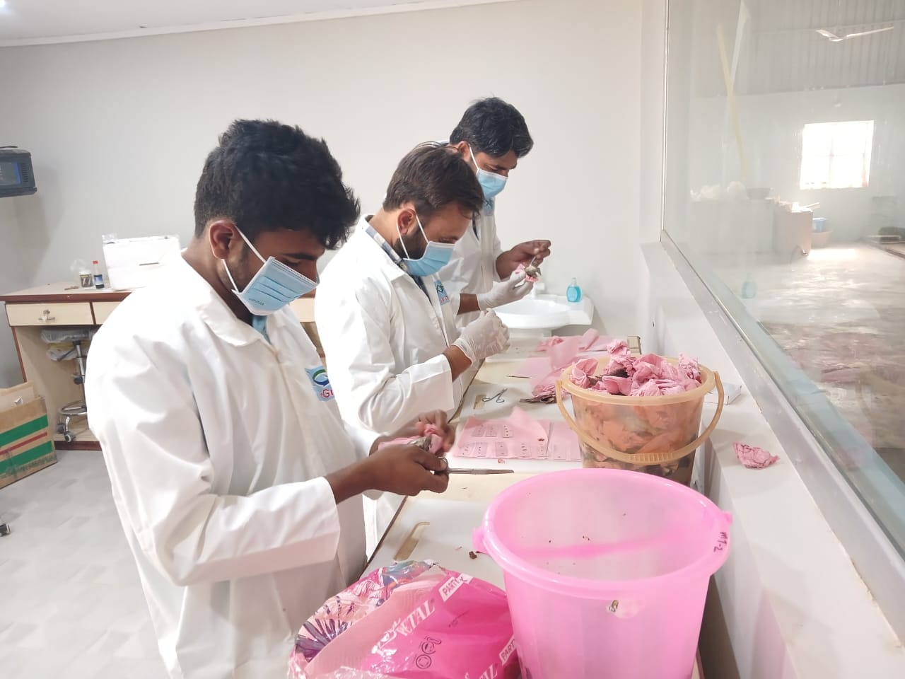 Hatchery team working at the lab bench