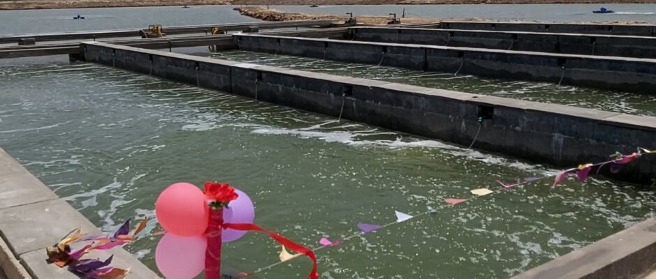 LarGro's In-Pond Raceway System in operation
