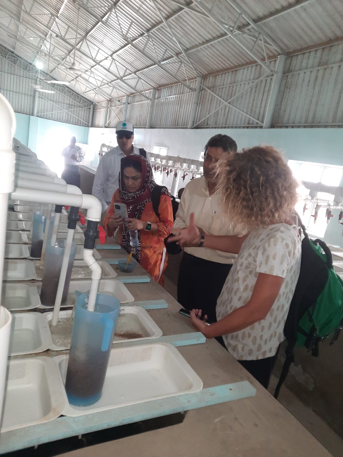 International visitors reviewing hatchery water samples