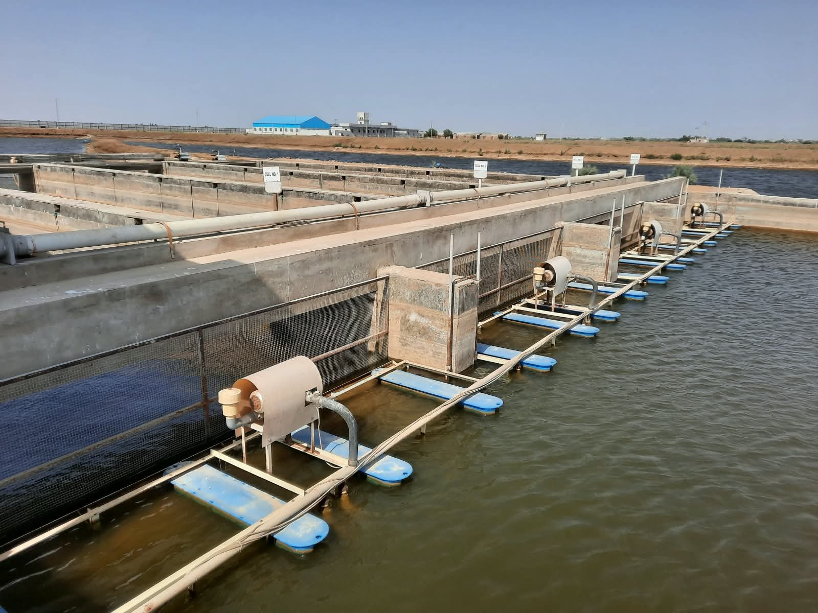 LarGro's In-Pond Raceway System in operation