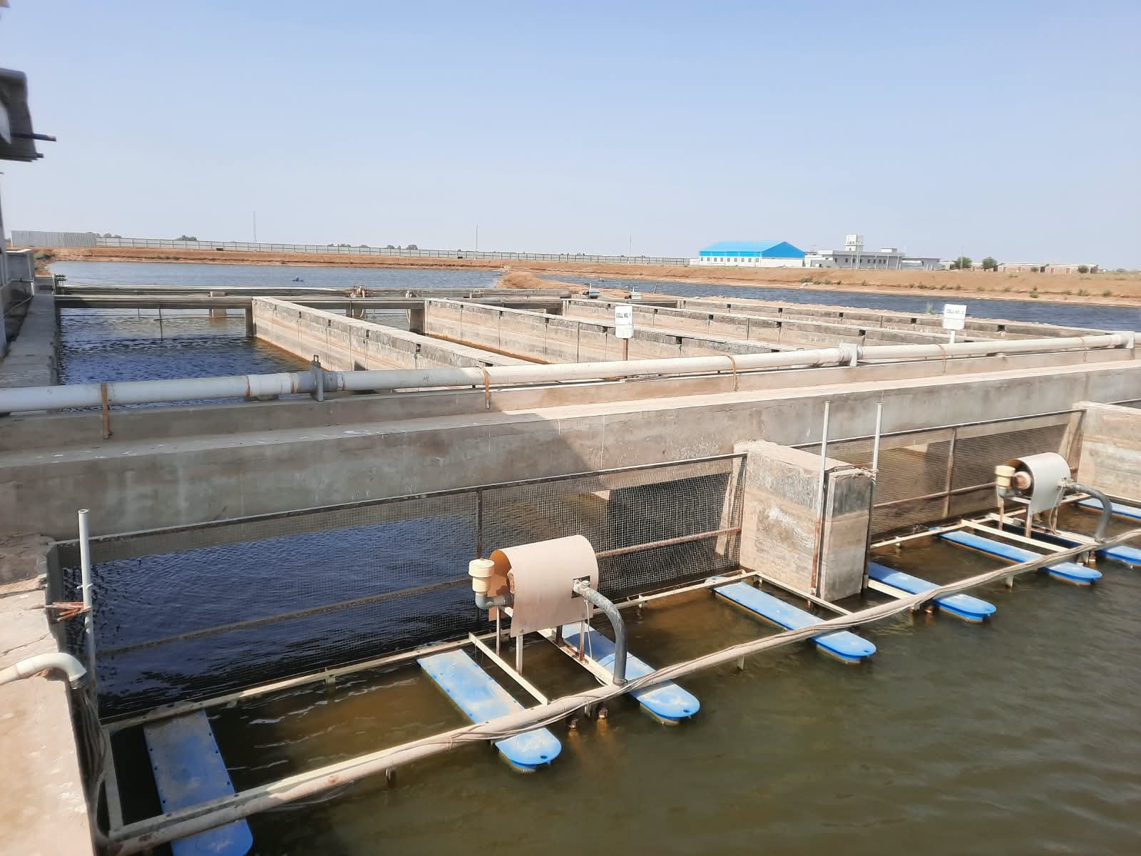 Wide view of LarGro's IPRS raceways and water-circulation equipment
